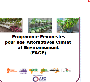 Le programme Féministes pour des Alternatives Climat Environnement (FACE)