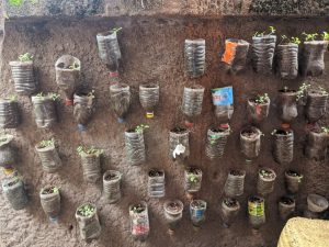 Programme d’agriculture urbaine hors-sol.